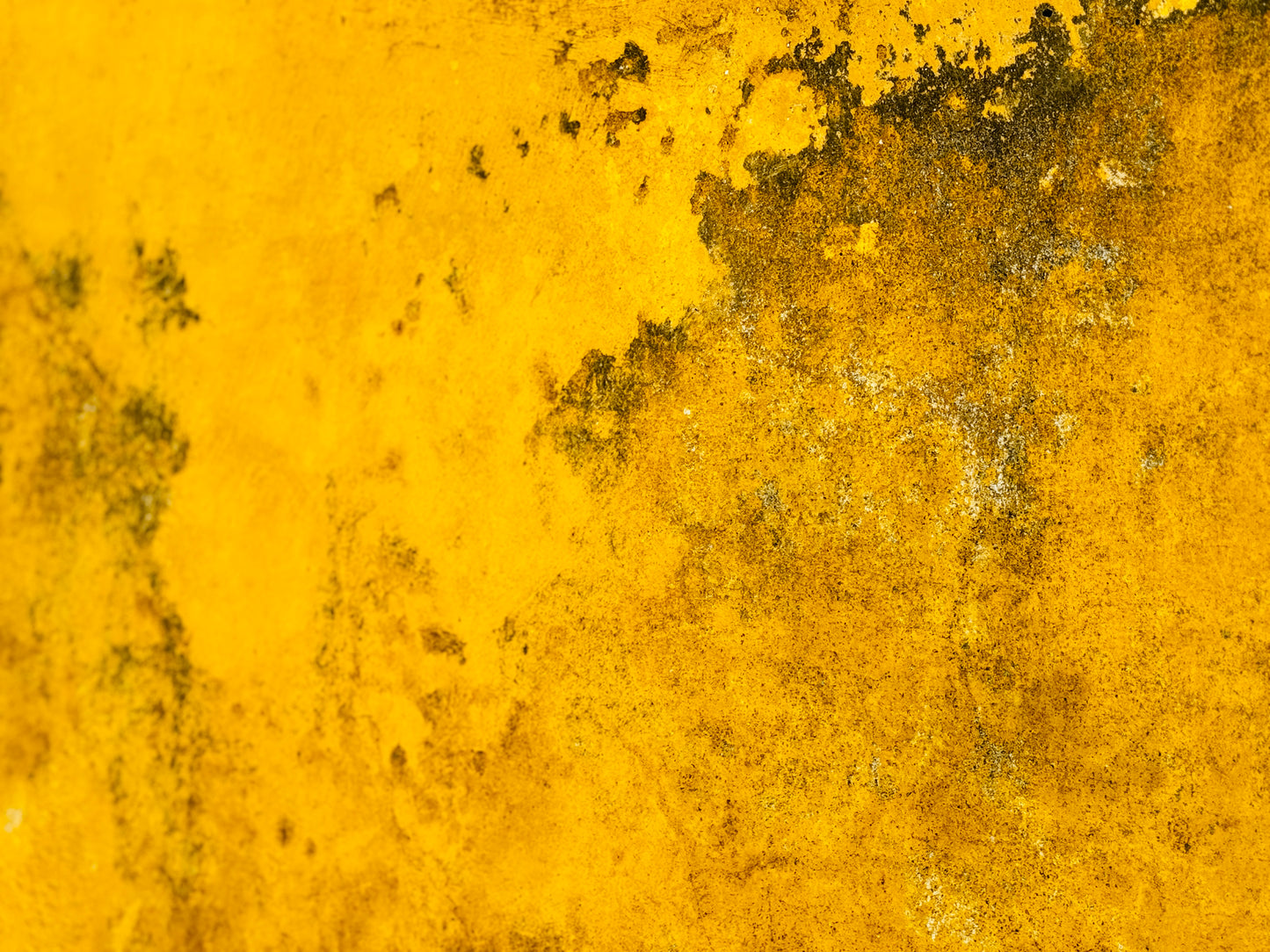 "Ethereal Touches of Gold"-VI Fine Art Photography