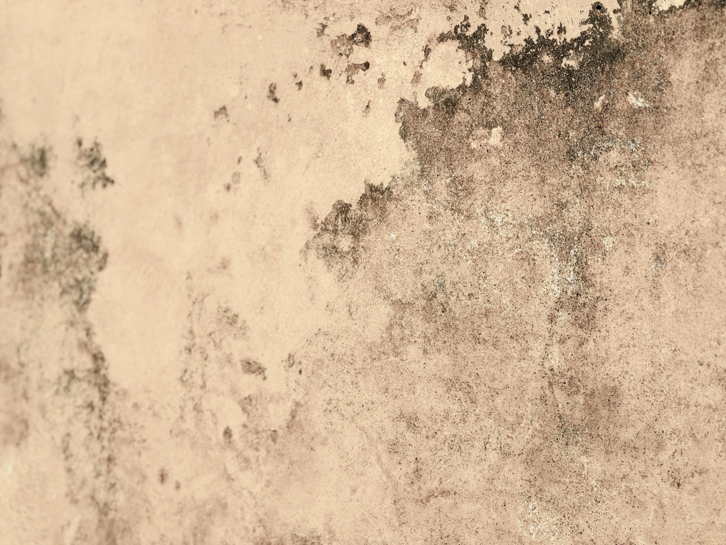 "Subtle Harmony" Fine Art Photography