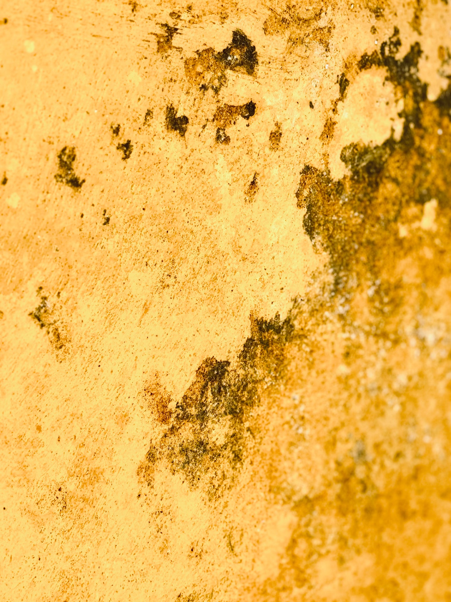 "Ethereal Touches of Gold"-III Fine Art Photography