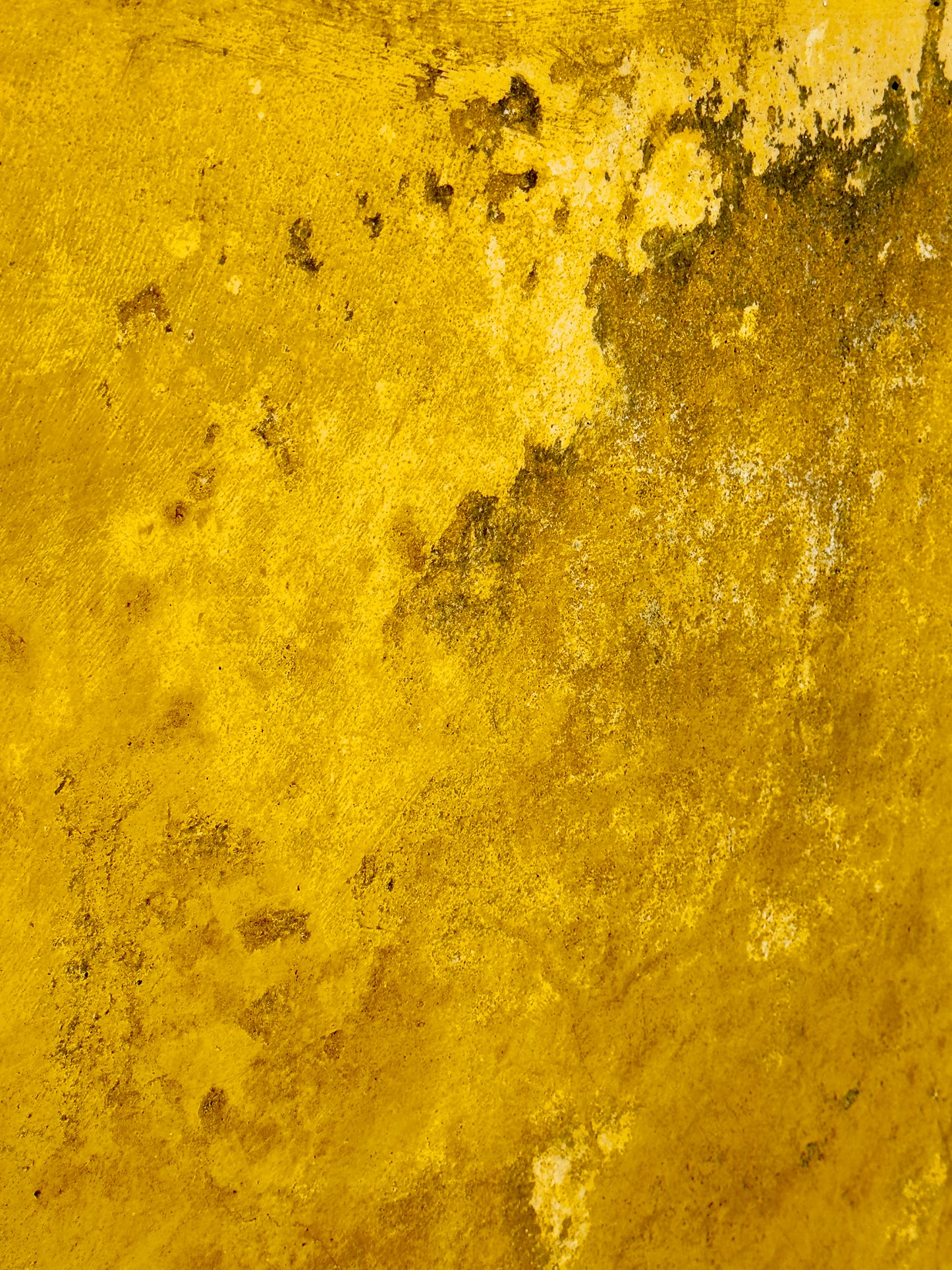 "Ethereal Touches of Gold"-V Fine Art Photography