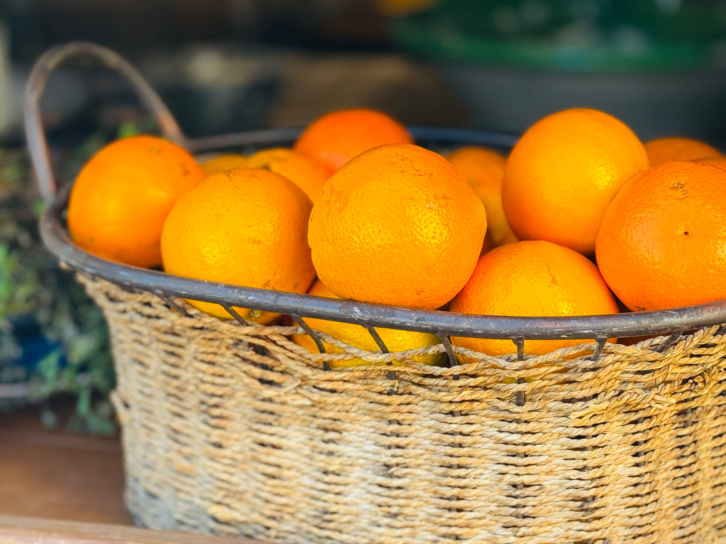 "Sunlit Citrus" Fine Art Photography