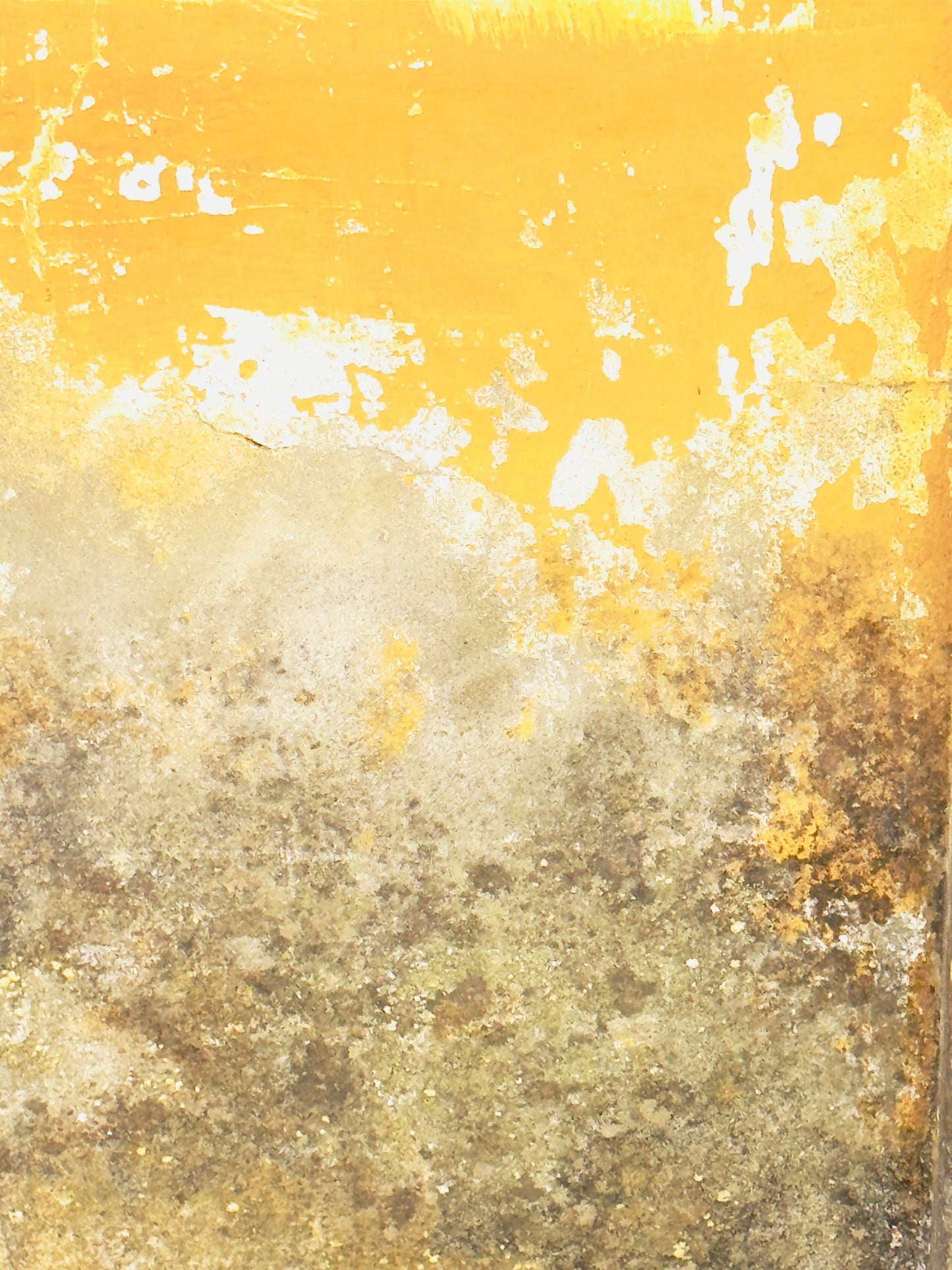 "Tales in Texture" (Mid tone) Fine Art Photography