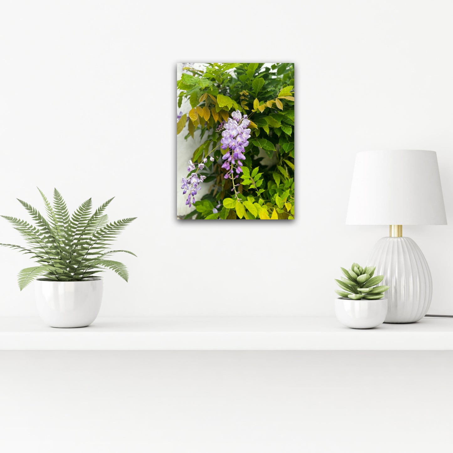 "A Symphony in Purple and Green" Fine Art Photography