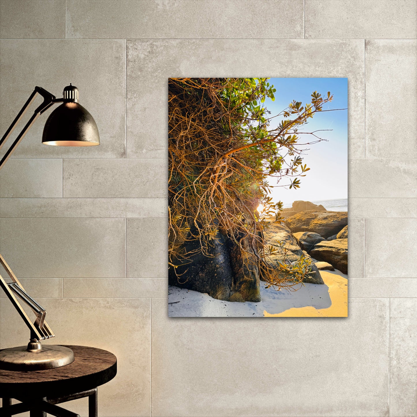 "Tangled Shores" Fine Art Photography
