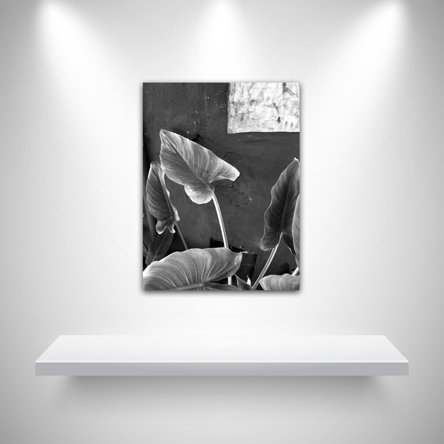 "Timeless Leaves" Fine Art Photography