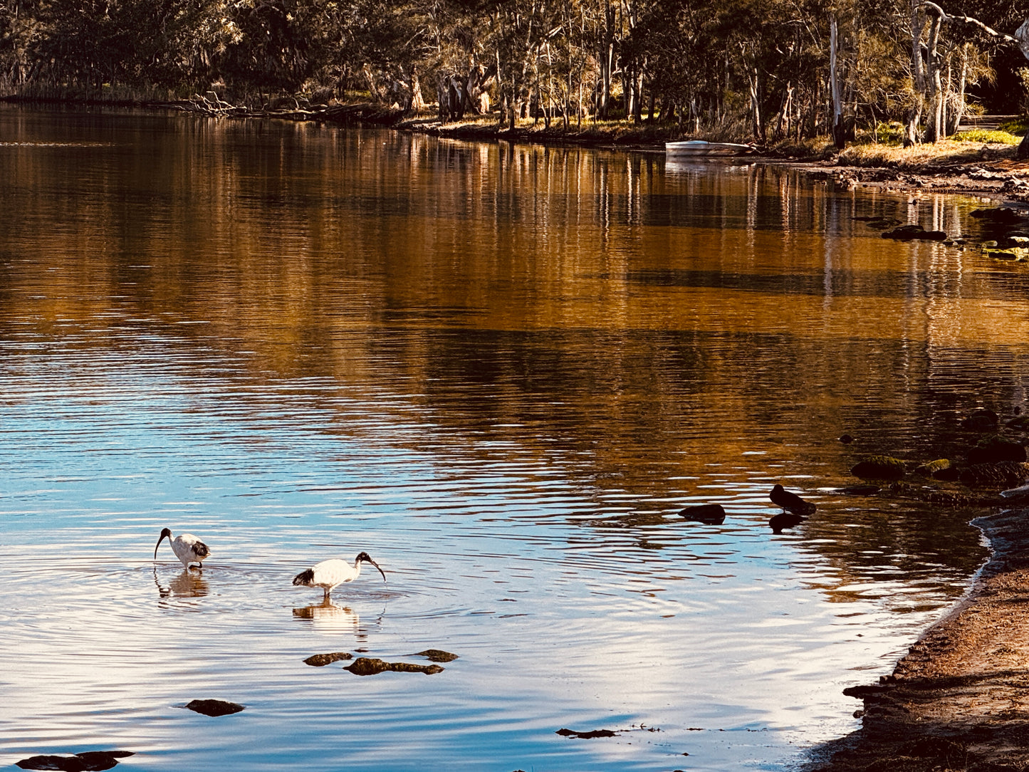 "Songs of the Shore" Fine Art Photography