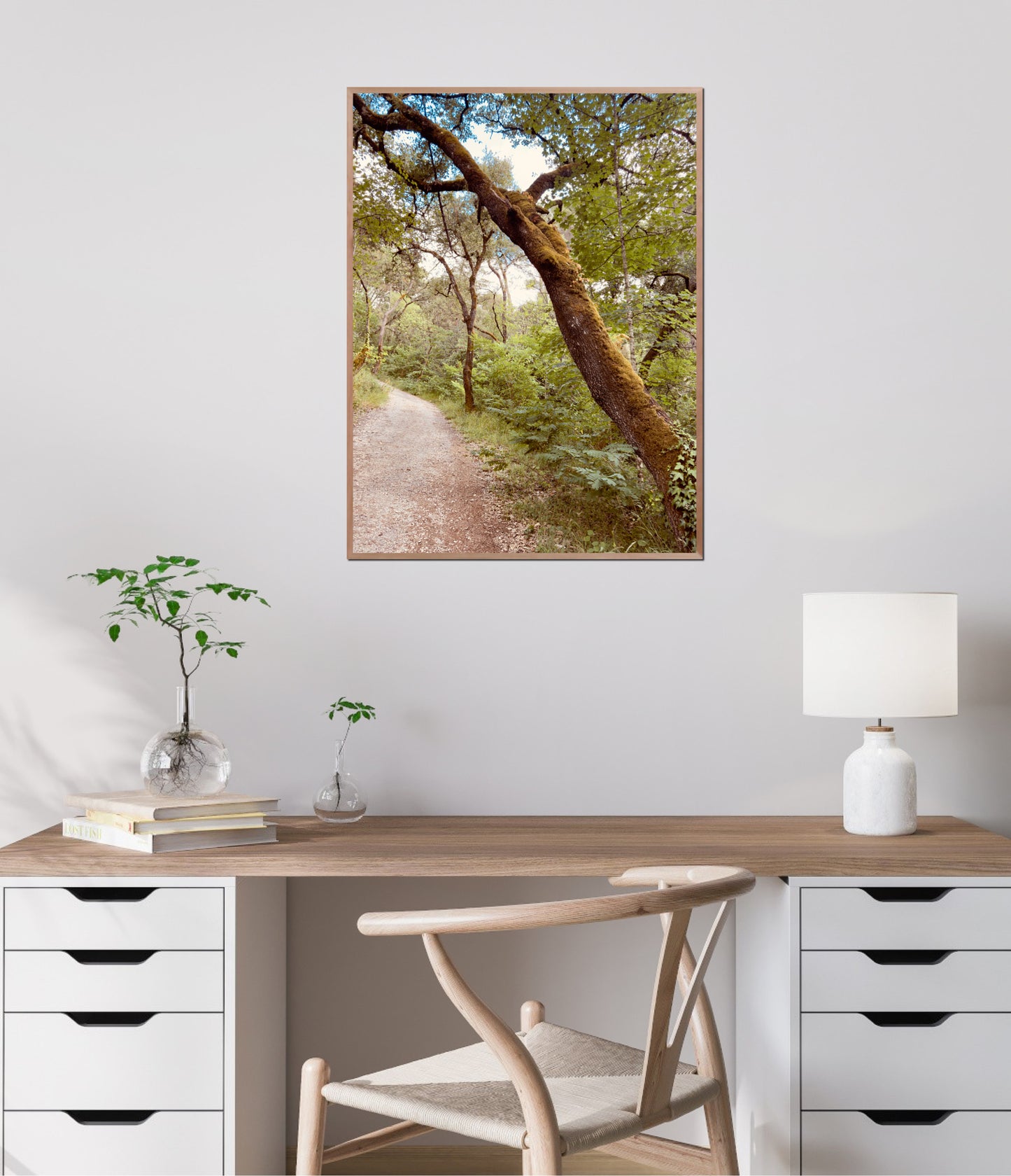 "The Enchanted Trail" Fine Art Photography