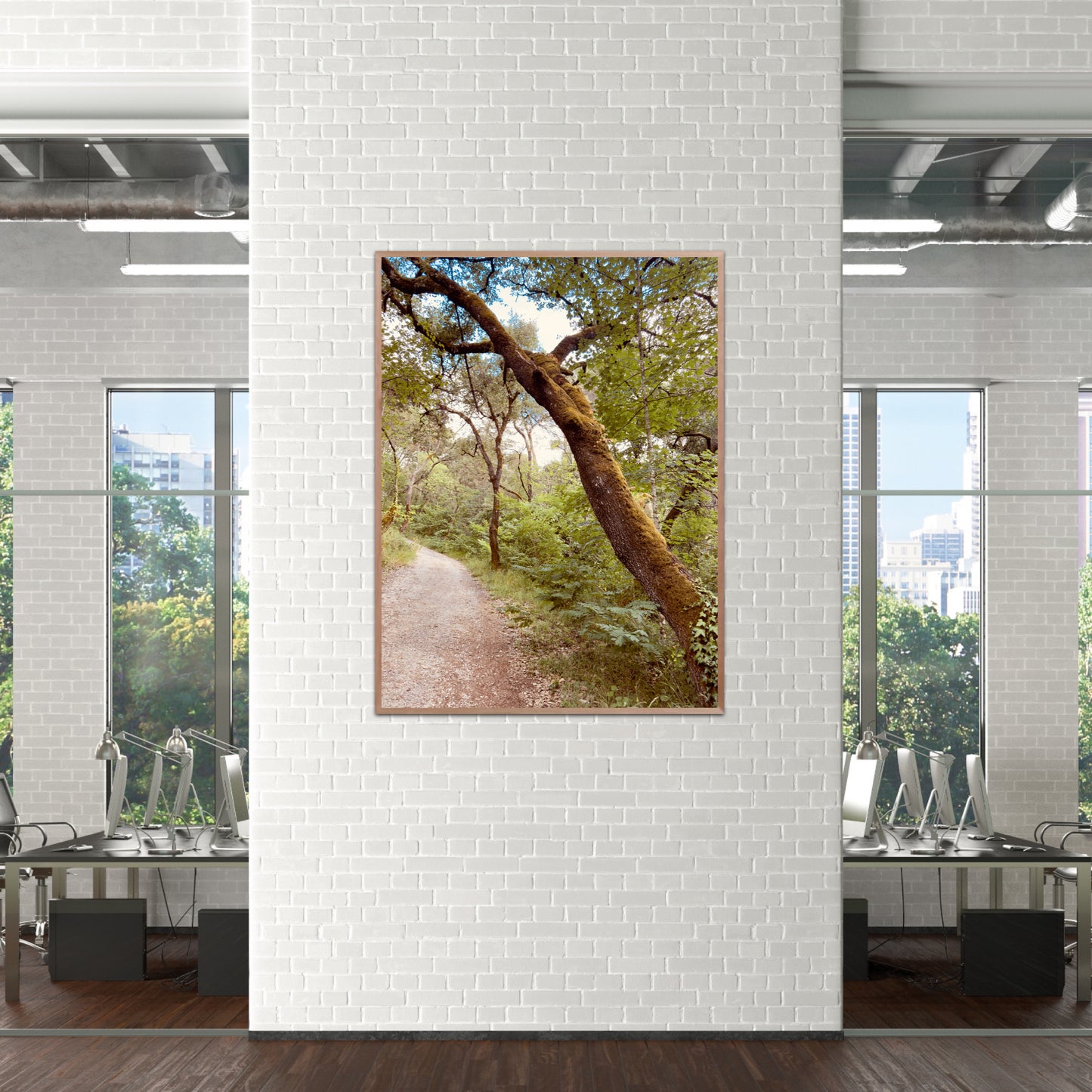 "The Enchanted Trail" Fine Art Photography