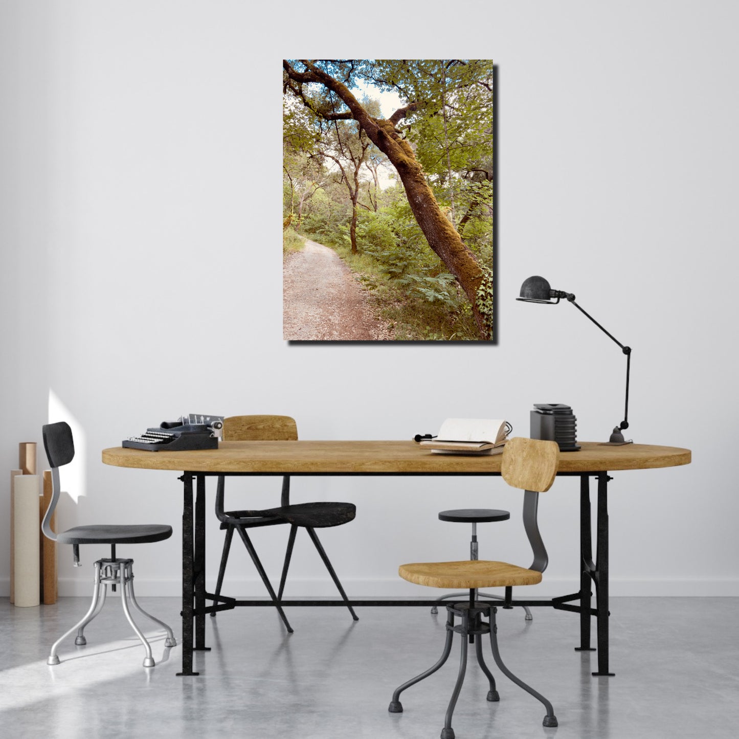 "The Enchanted Trail" Fine Art Photography