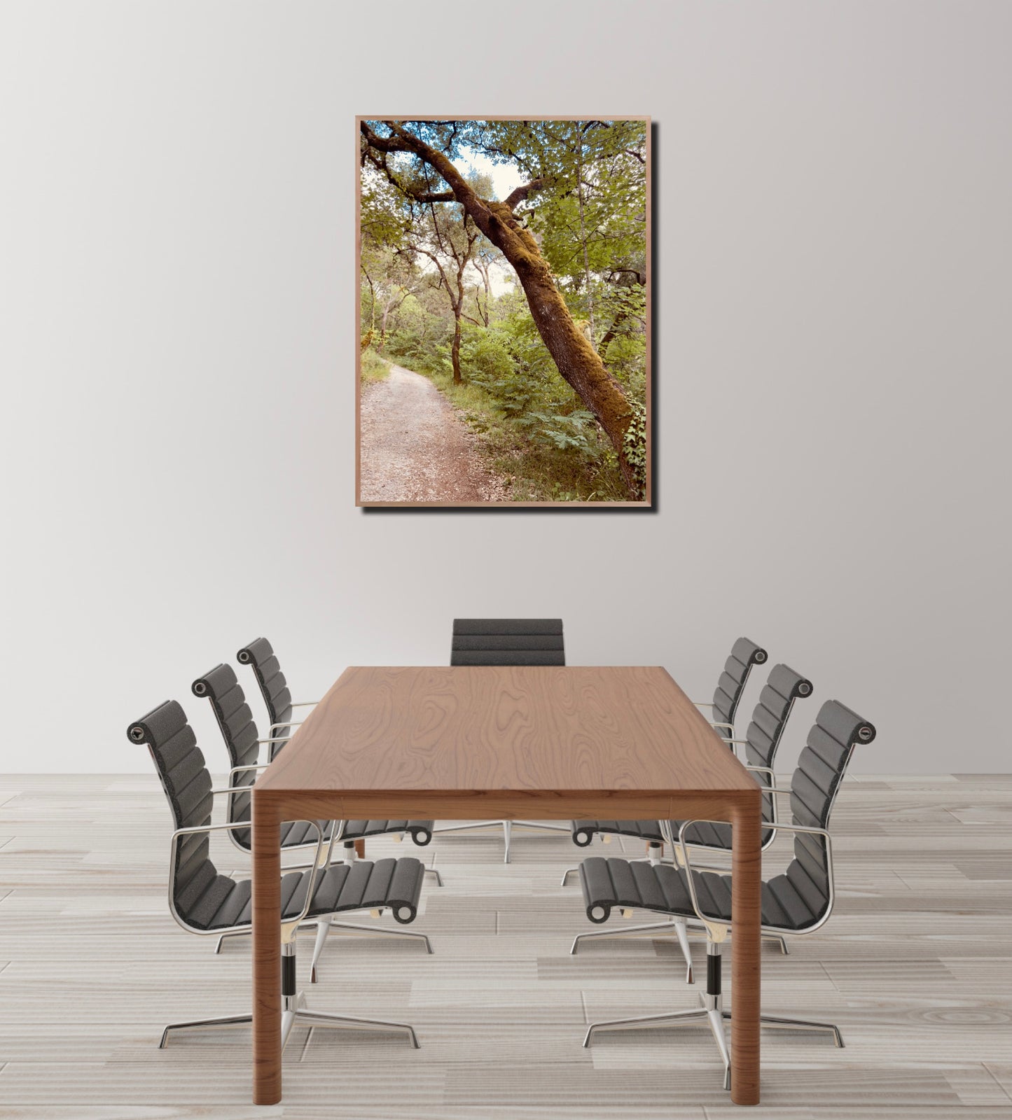 "The Enchanted Trail" Fine Art Photography