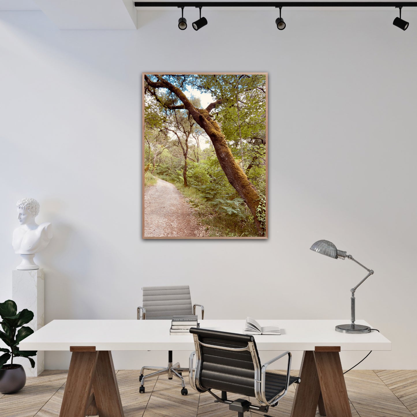 "The Enchanted Trail" Fine Art Photography