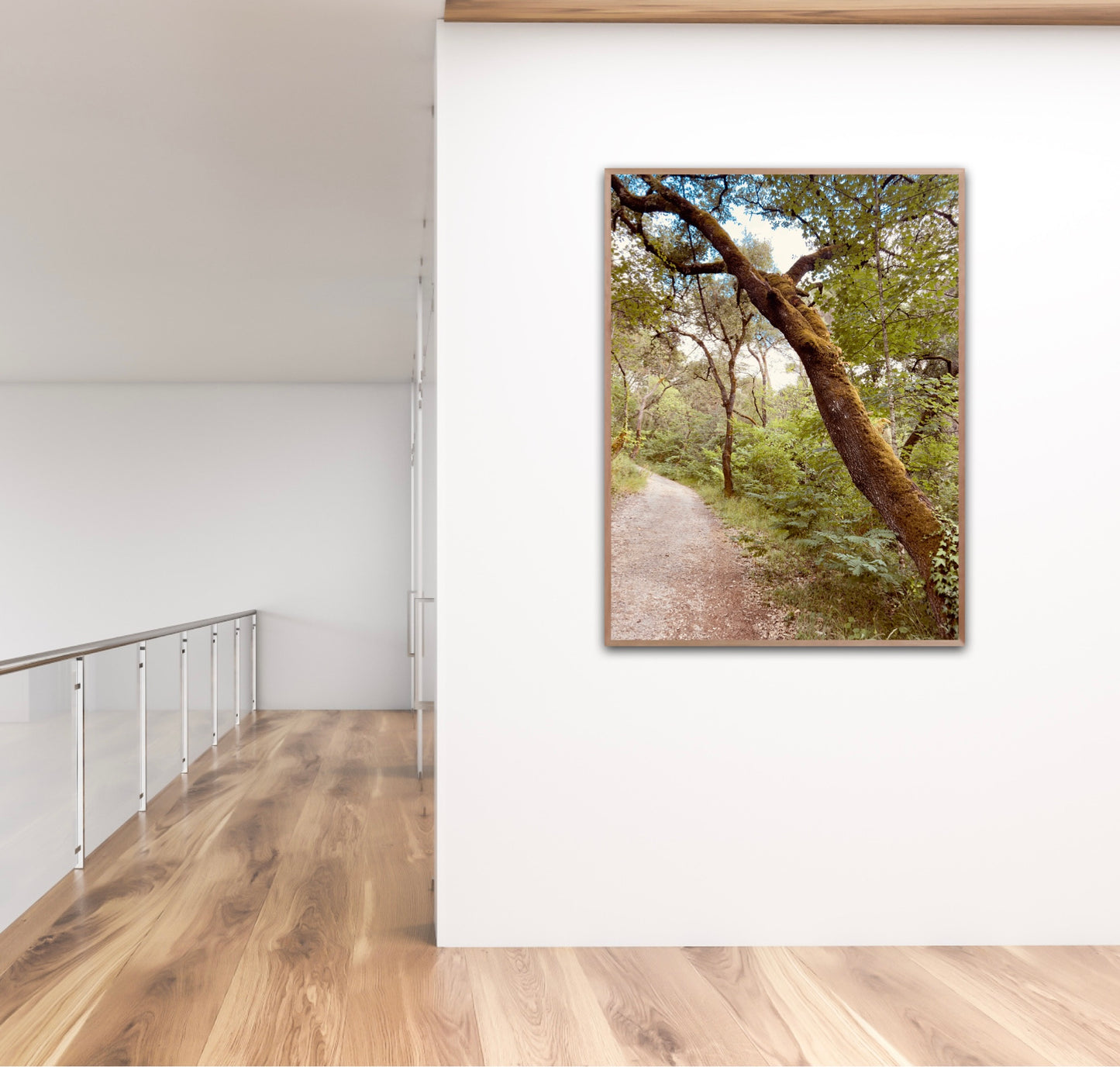 "The Enchanted Trail" Fine Art Photography
