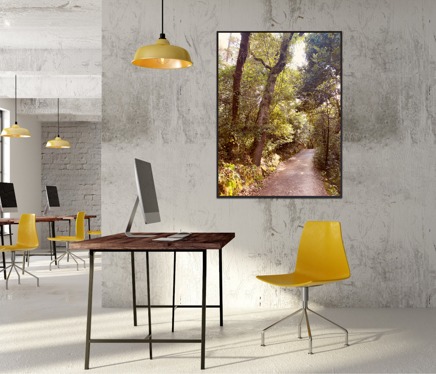 "Serenity Among the Trees" Fine Art Photography