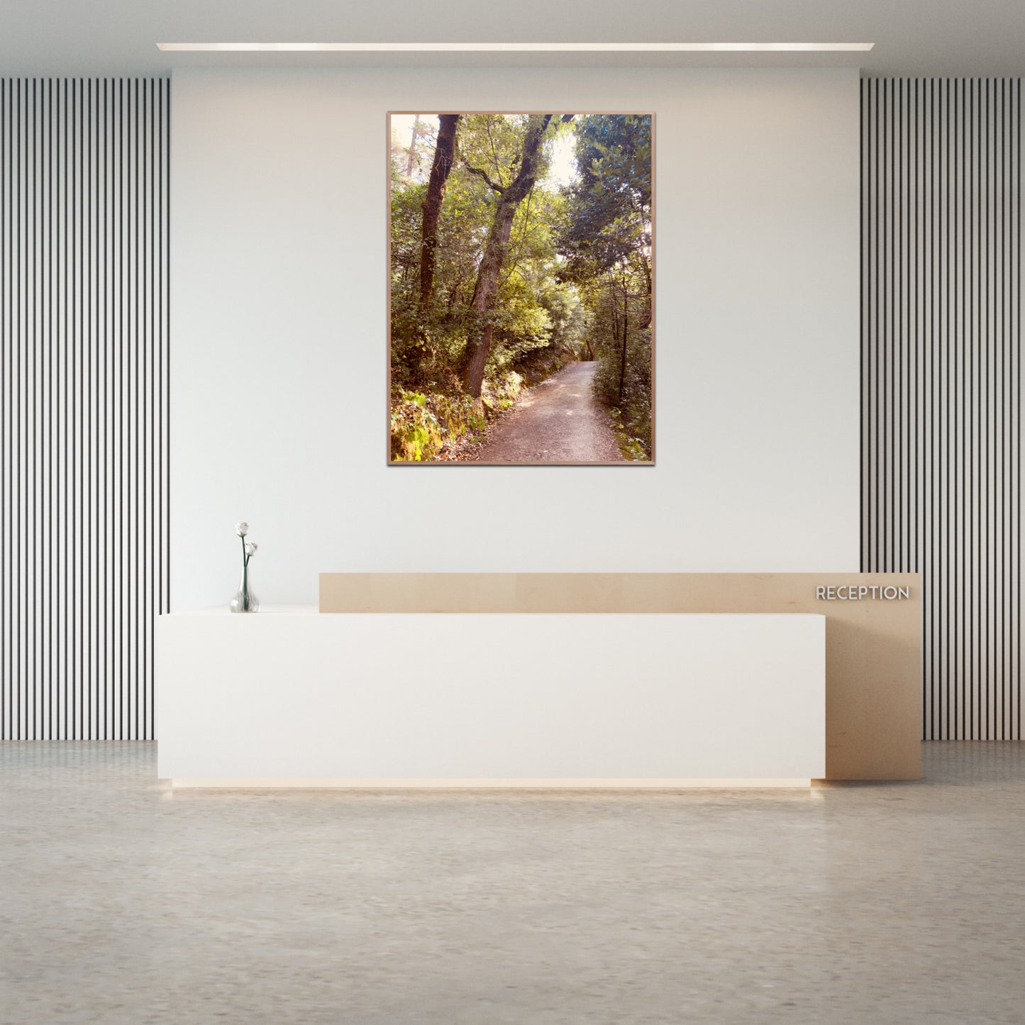 "Serenity Among the Trees" Fine Art Photography