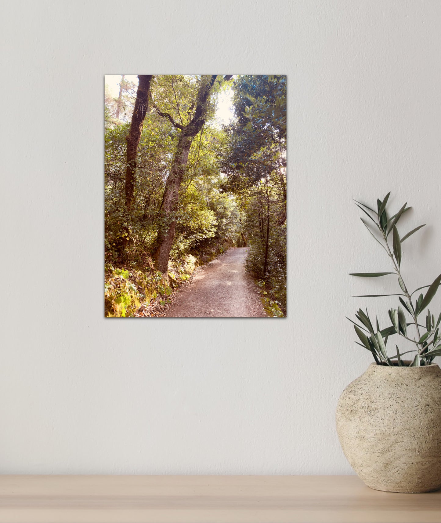 "Serenity Among the Trees" Fine Art Photography