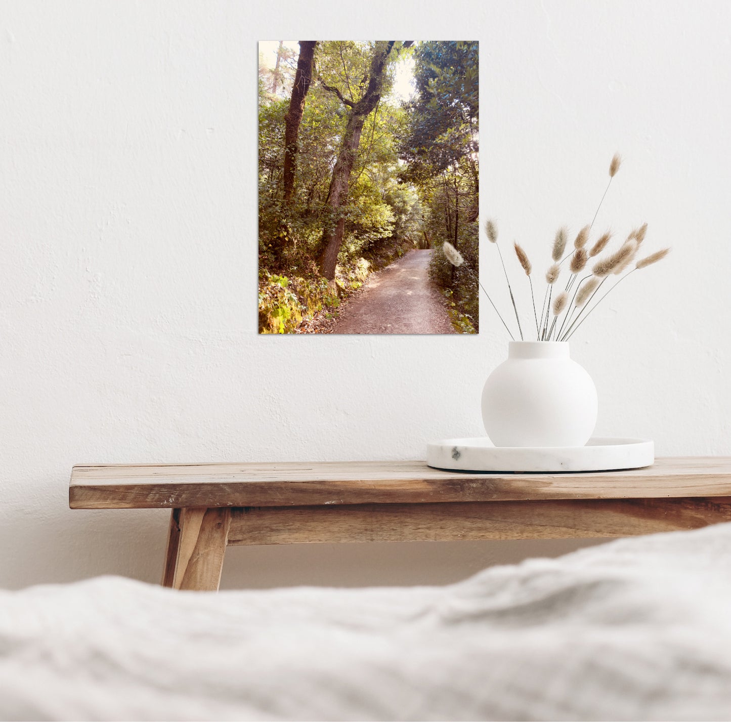 "Serenity Among the Trees" Fine Art Photography