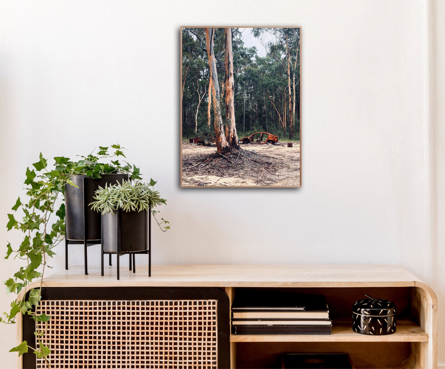 "Nature's Silent Witness" Fine Art Photography