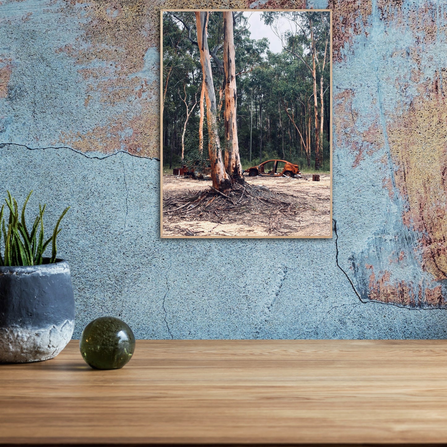 "Nature's Silent Witness" Fine Art Photography