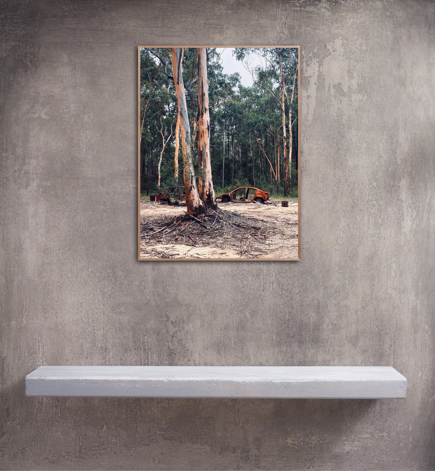 "Nature's Silent Witness" Fine Art Photography