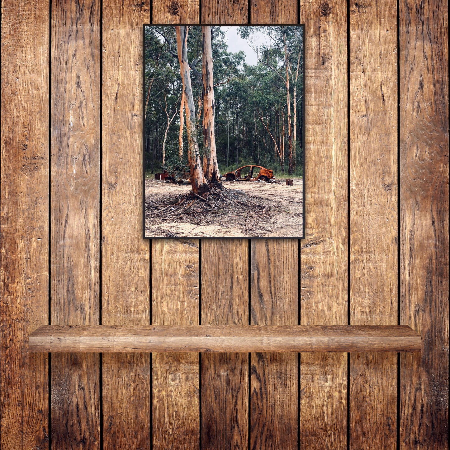"Nature's Silent Witness" Fine Art Photography