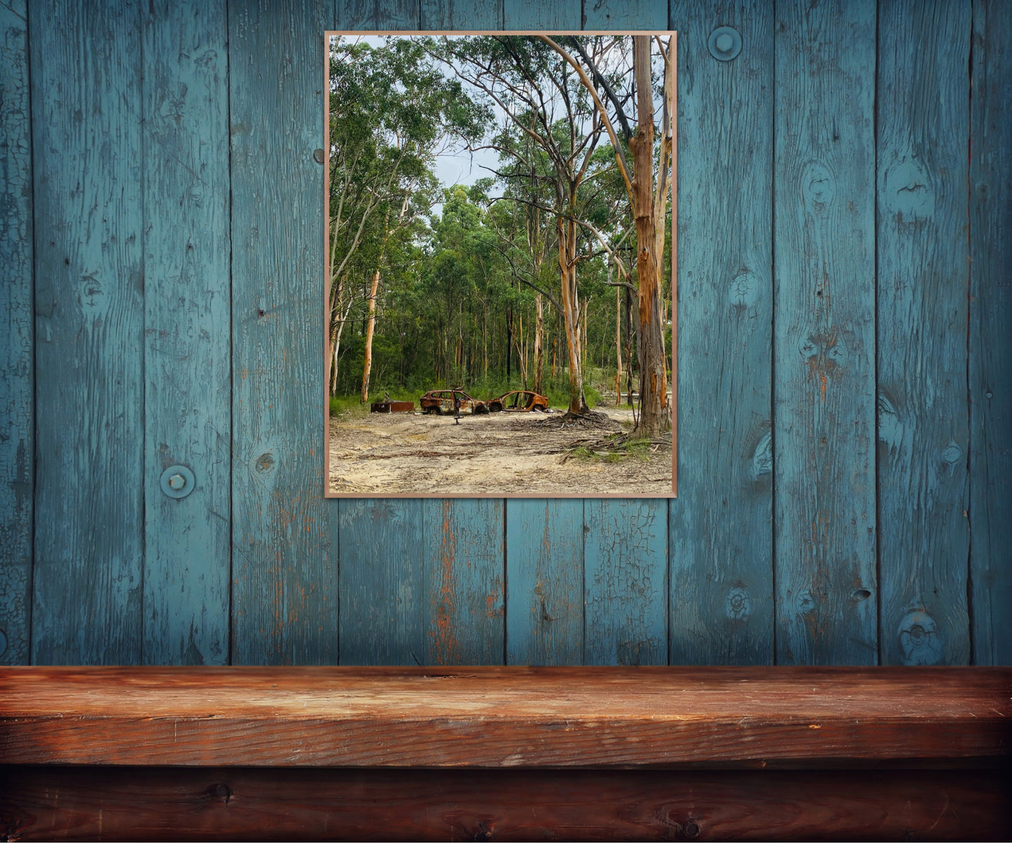 "Gum Tree Guardians of Rust" Fine Art Photography