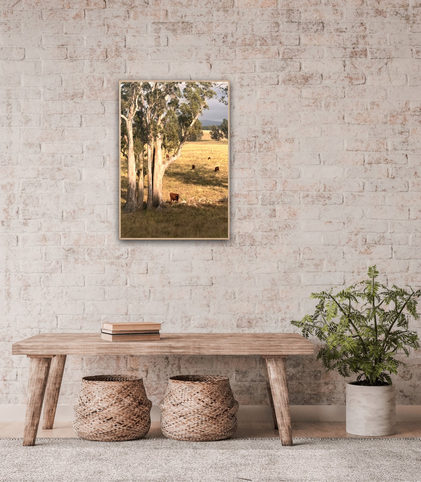 "Under the Aussie Sky" Fine Art Photography
