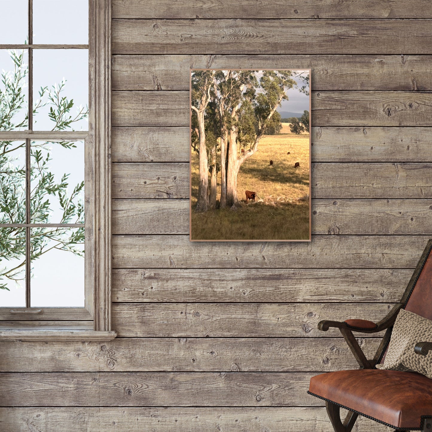 "Under the Aussie Sky" Fine Art Photography