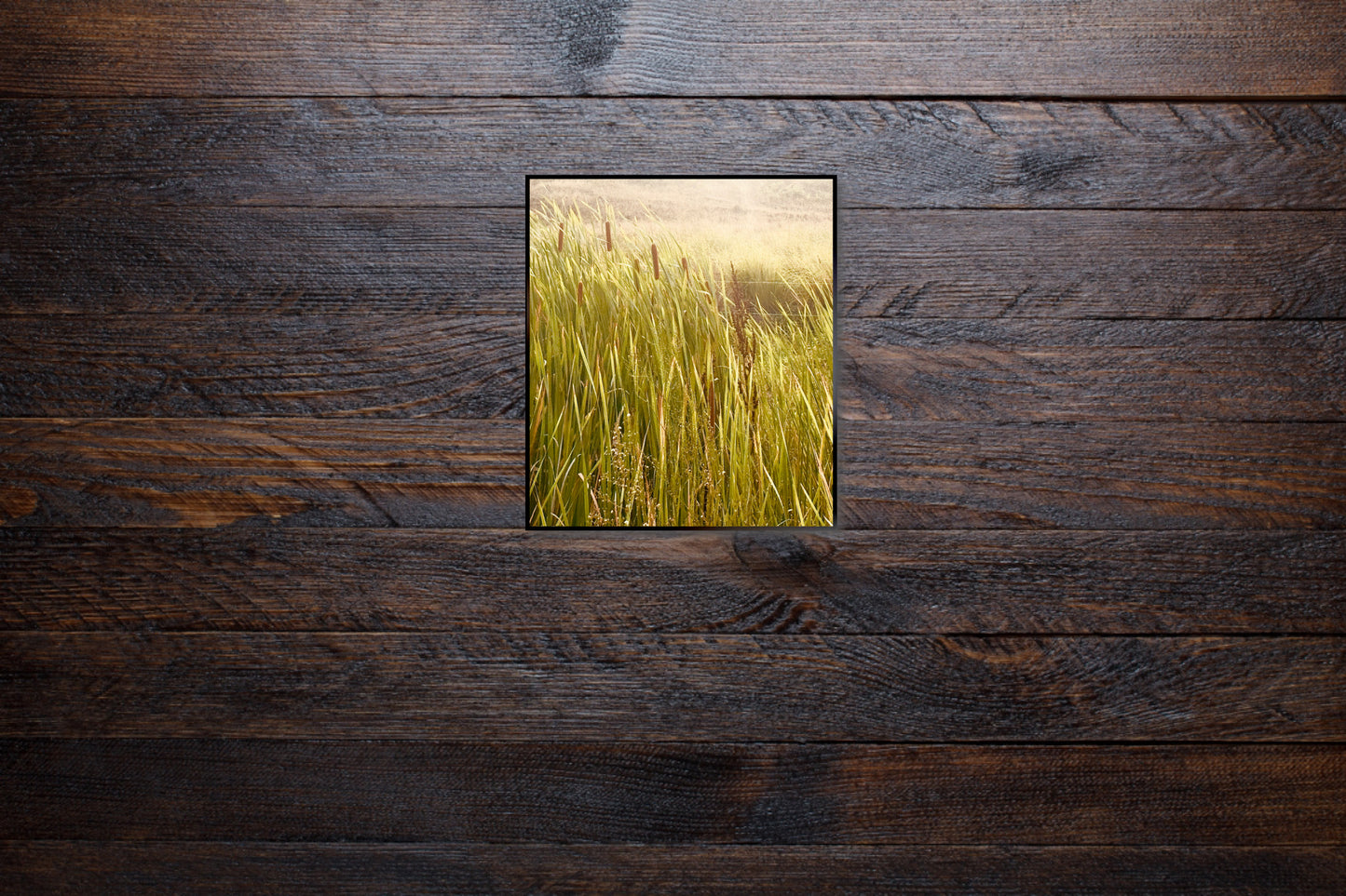 "A Dance in the Wilderness" Fine Art Photography