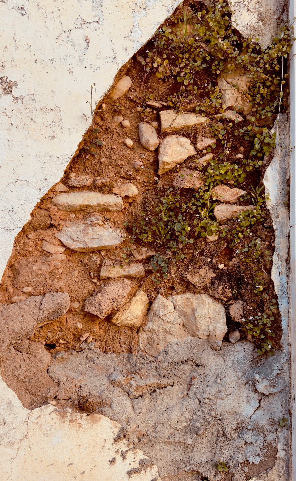 "Exposed and Enduring" Fine Art Photography