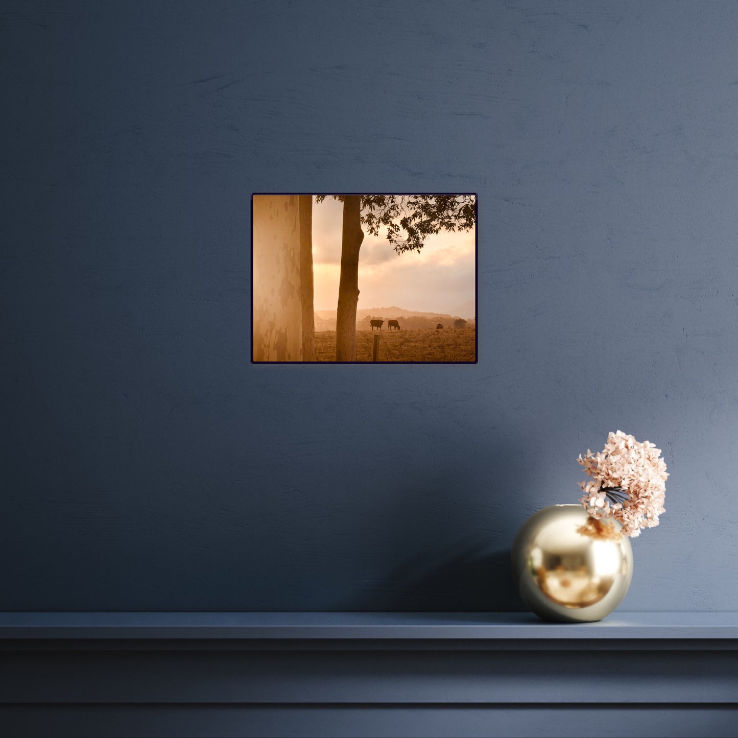 "Peaceful Pastures" - Fine Art Photography