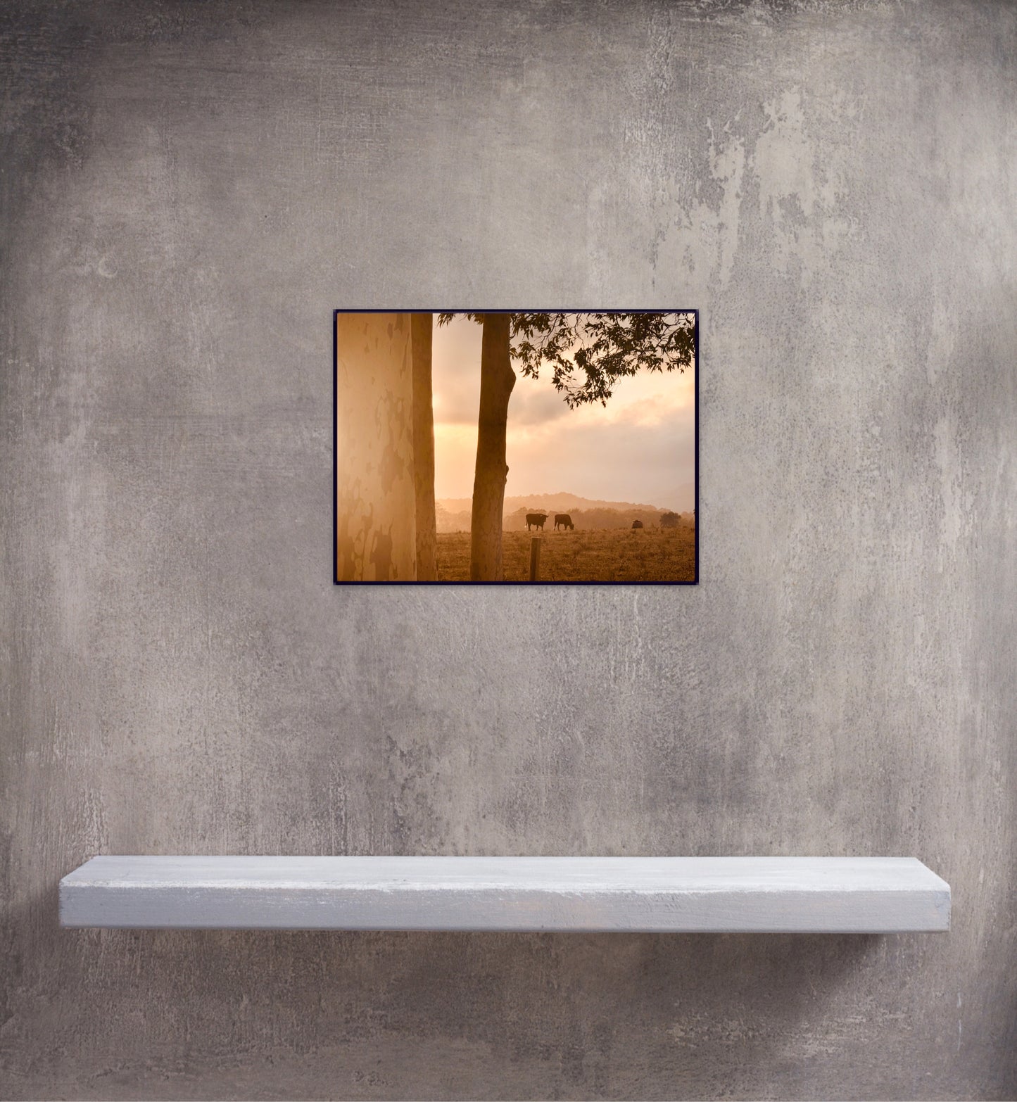 "Peaceful Pastures" - Fine Art Photography