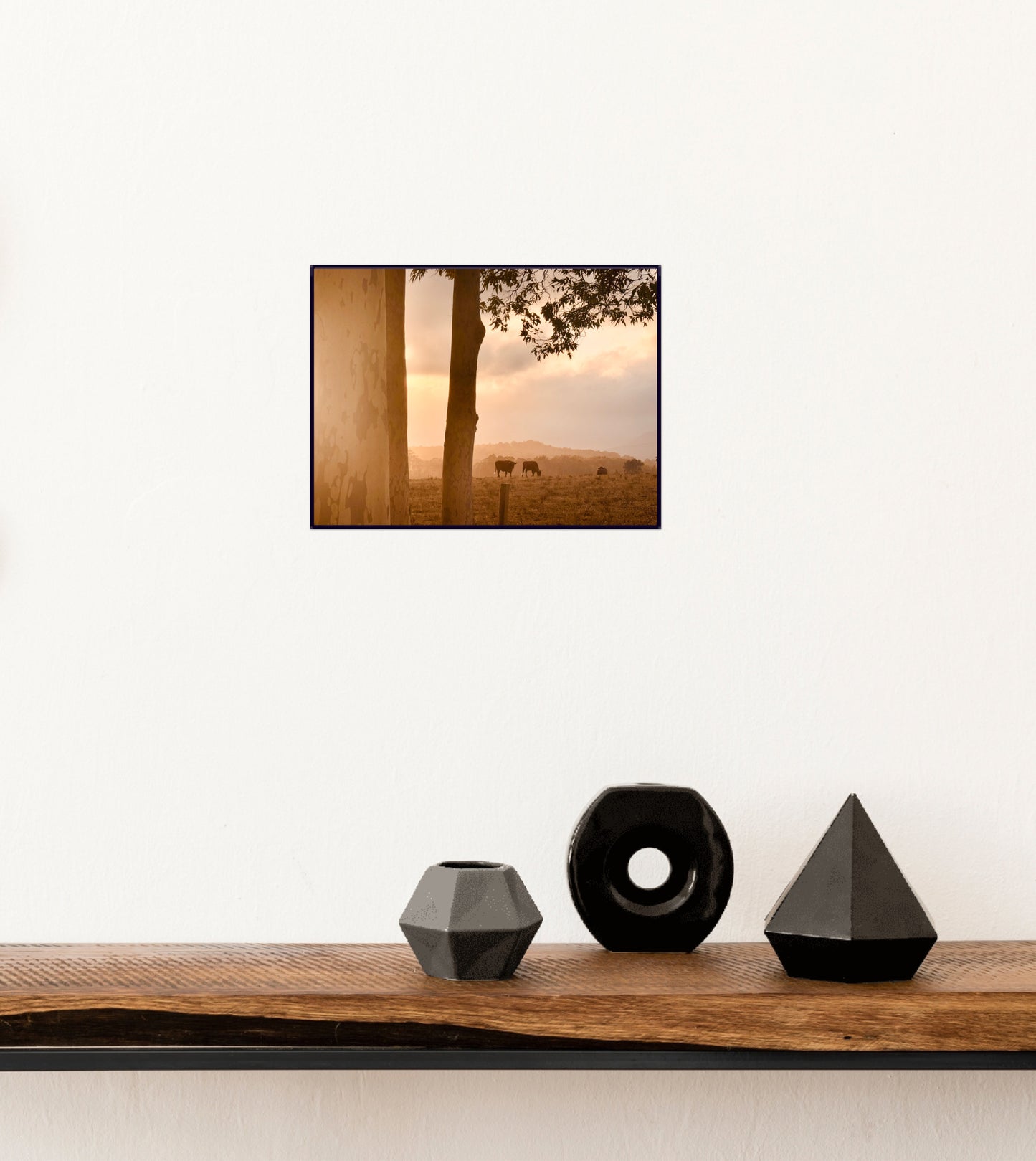 "Peaceful Pastures" - Fine Art Photography
