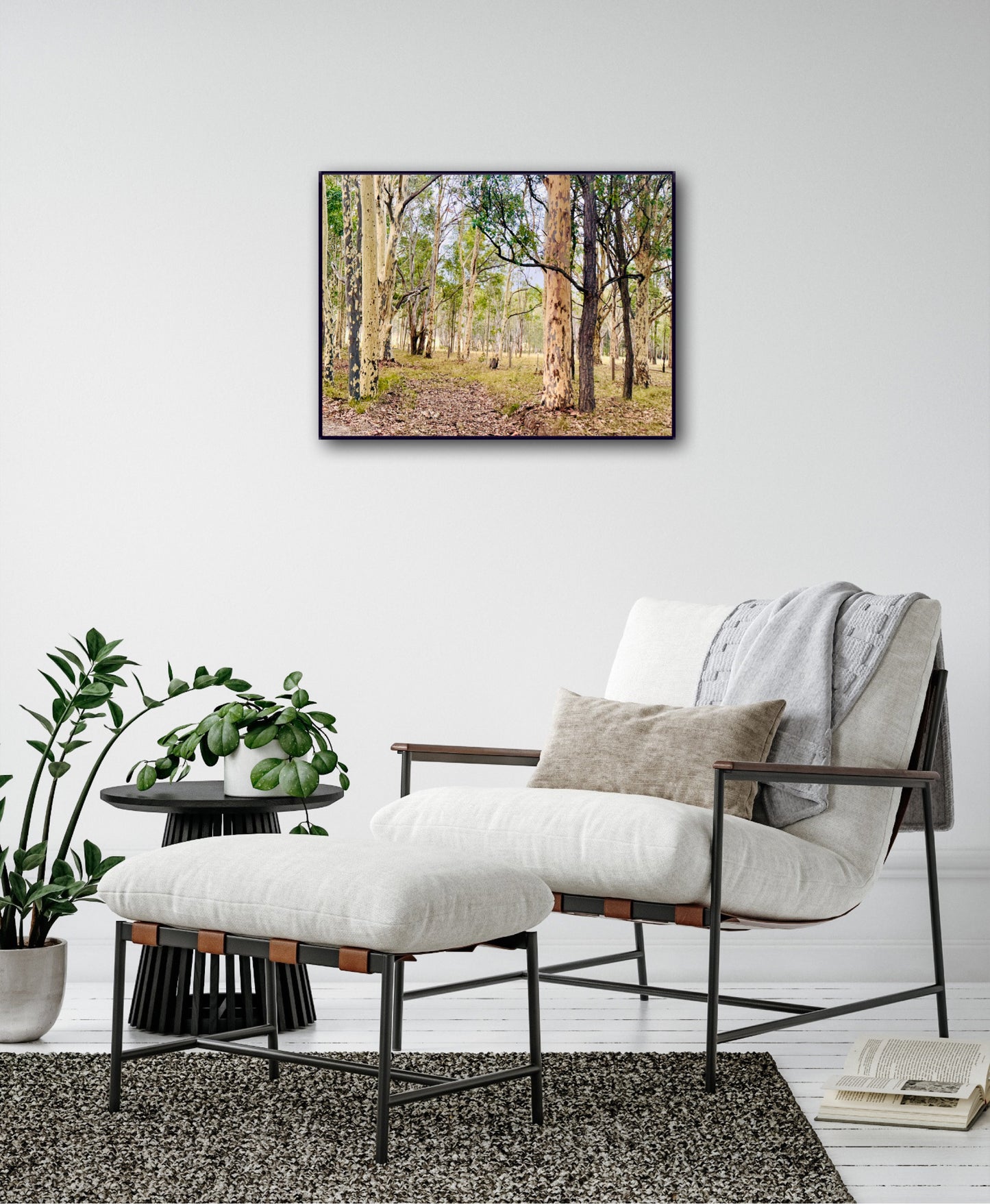 "Eucalyptus Elegance" - Fine Art Photography