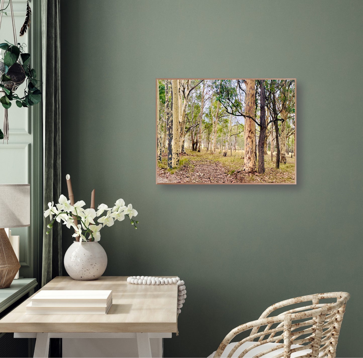 "Eucalyptus Elegance" - Fine Art Photography