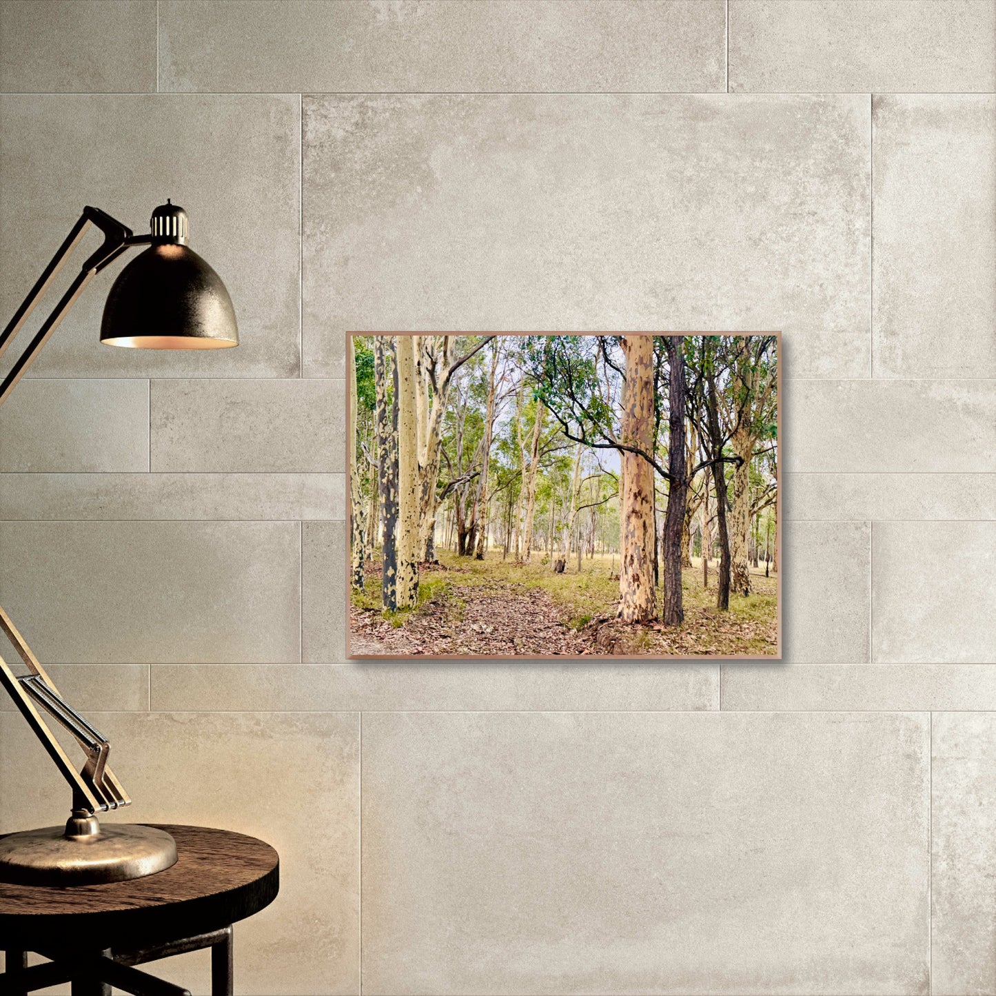 "Eucalyptus Elegance" - Fine Art Photography