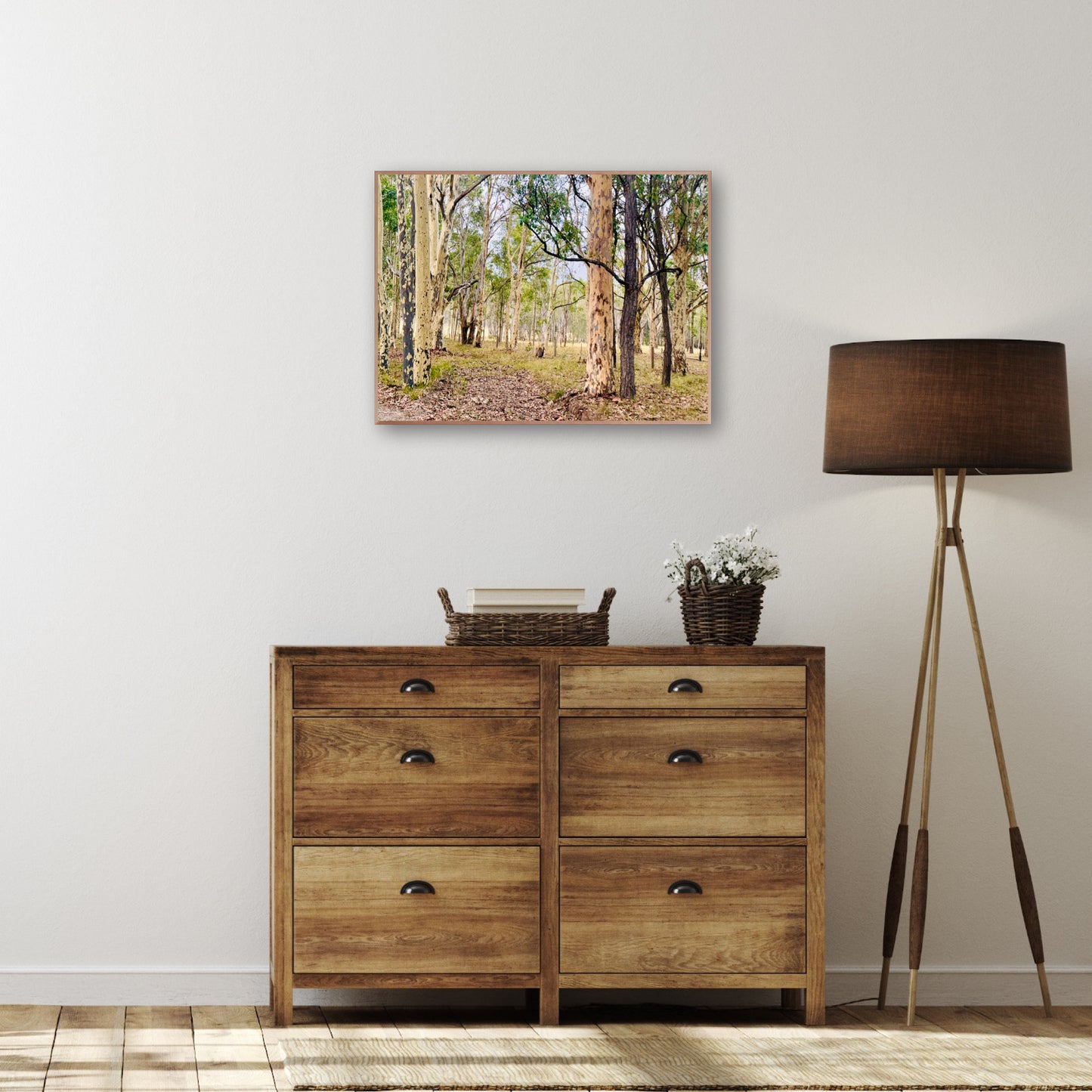 "Eucalyptus Elegance" - Fine Art Photography