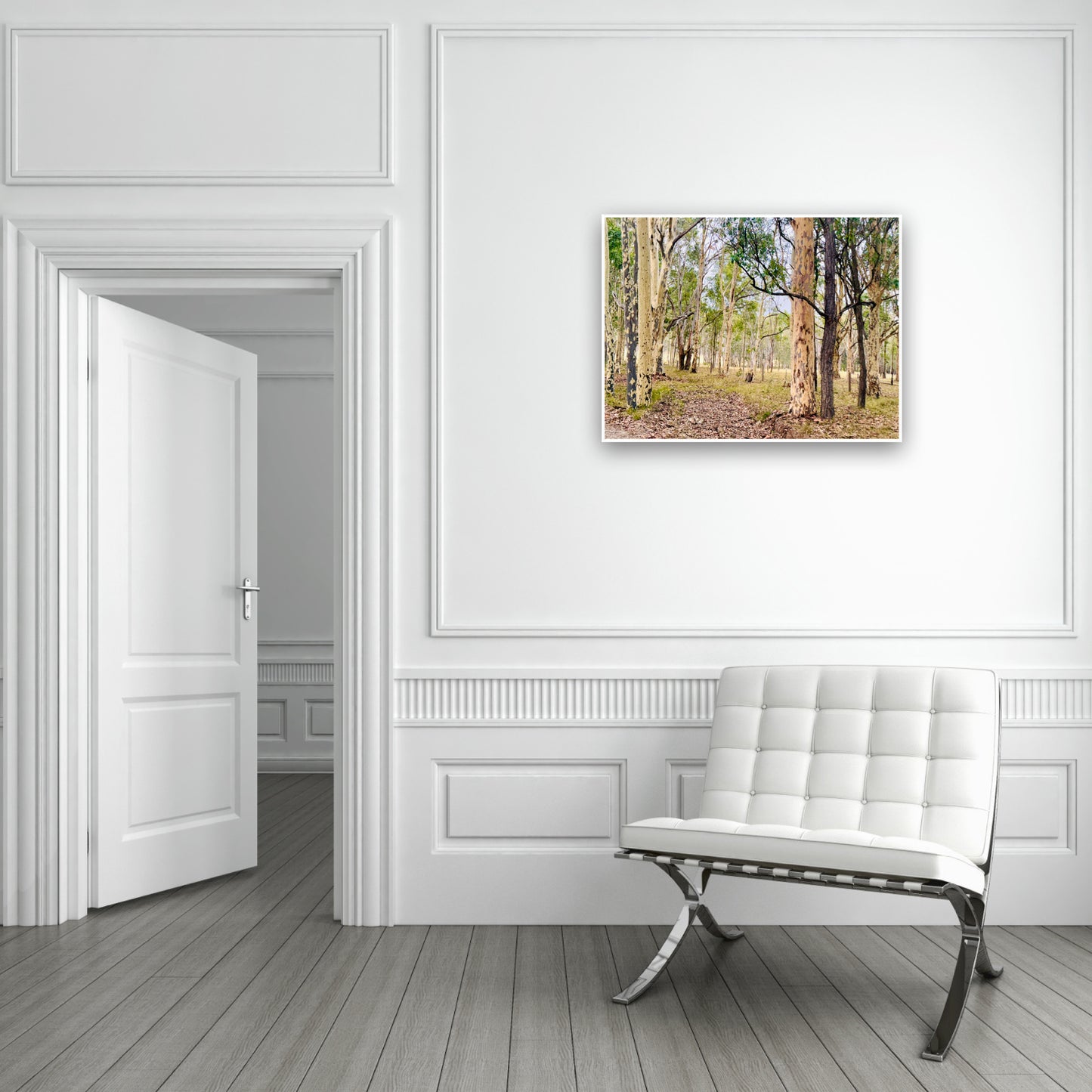 "Eucalyptus Elegance" - Fine Art Photography
