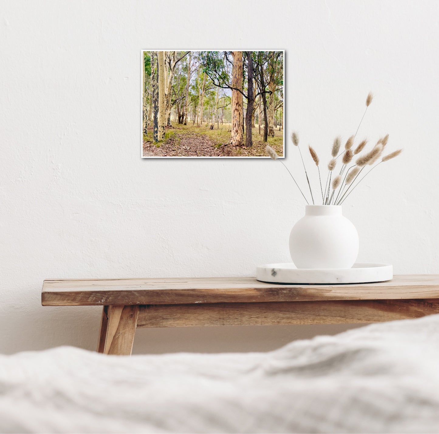 "Eucalyptus Elegance" - Fine Art Photography