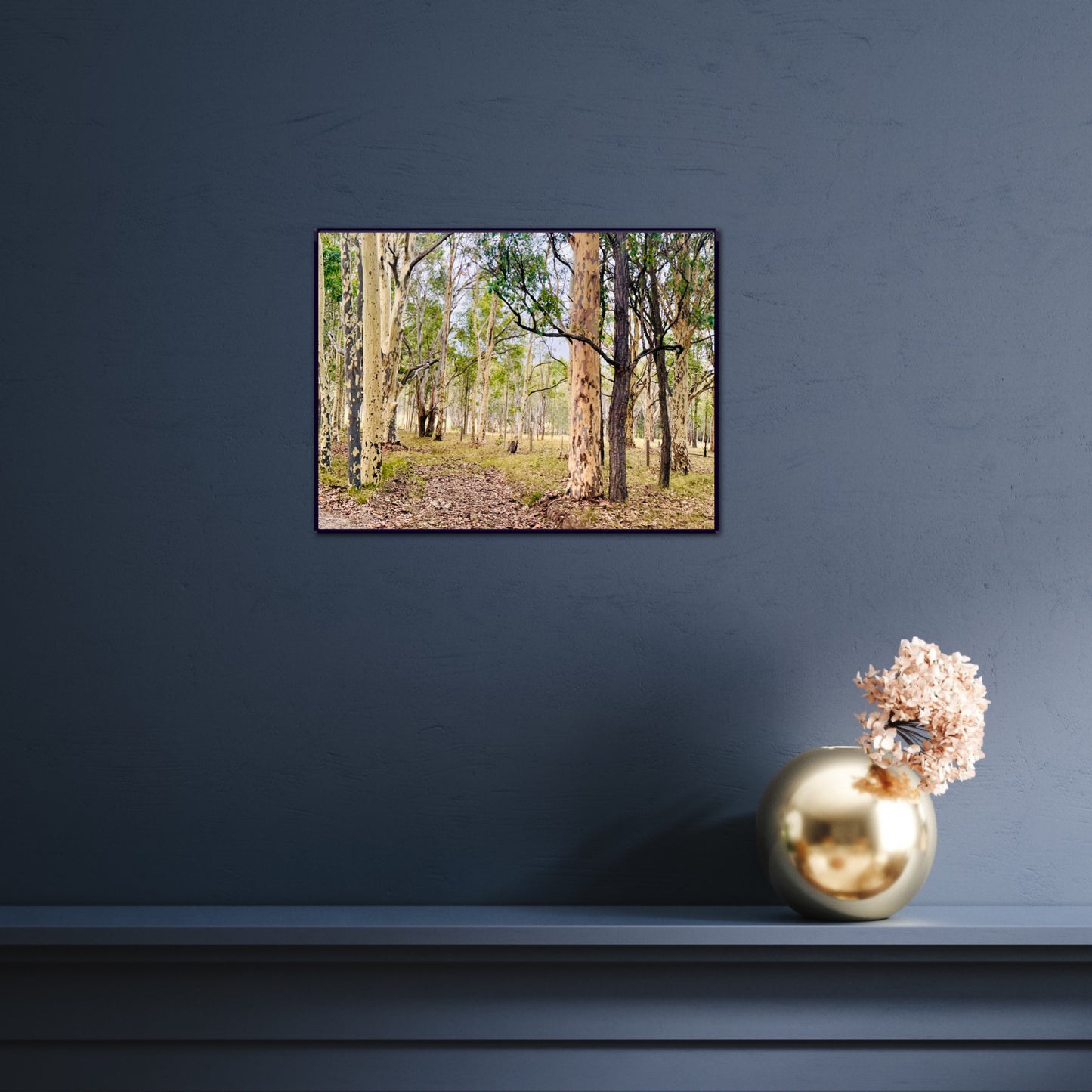 "Eucalyptus Elegance" - Fine Art Photography
