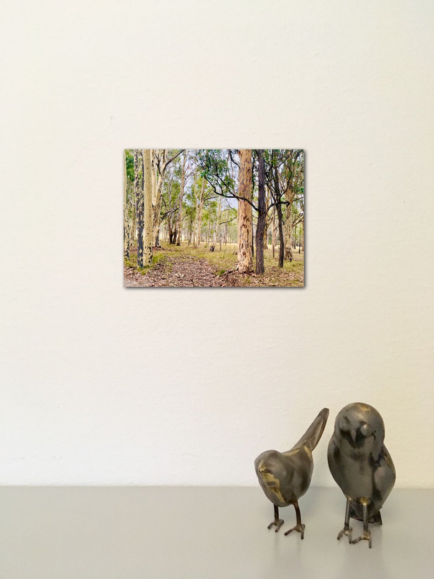 "Eucalyptus Elegance" - Fine Art Photography