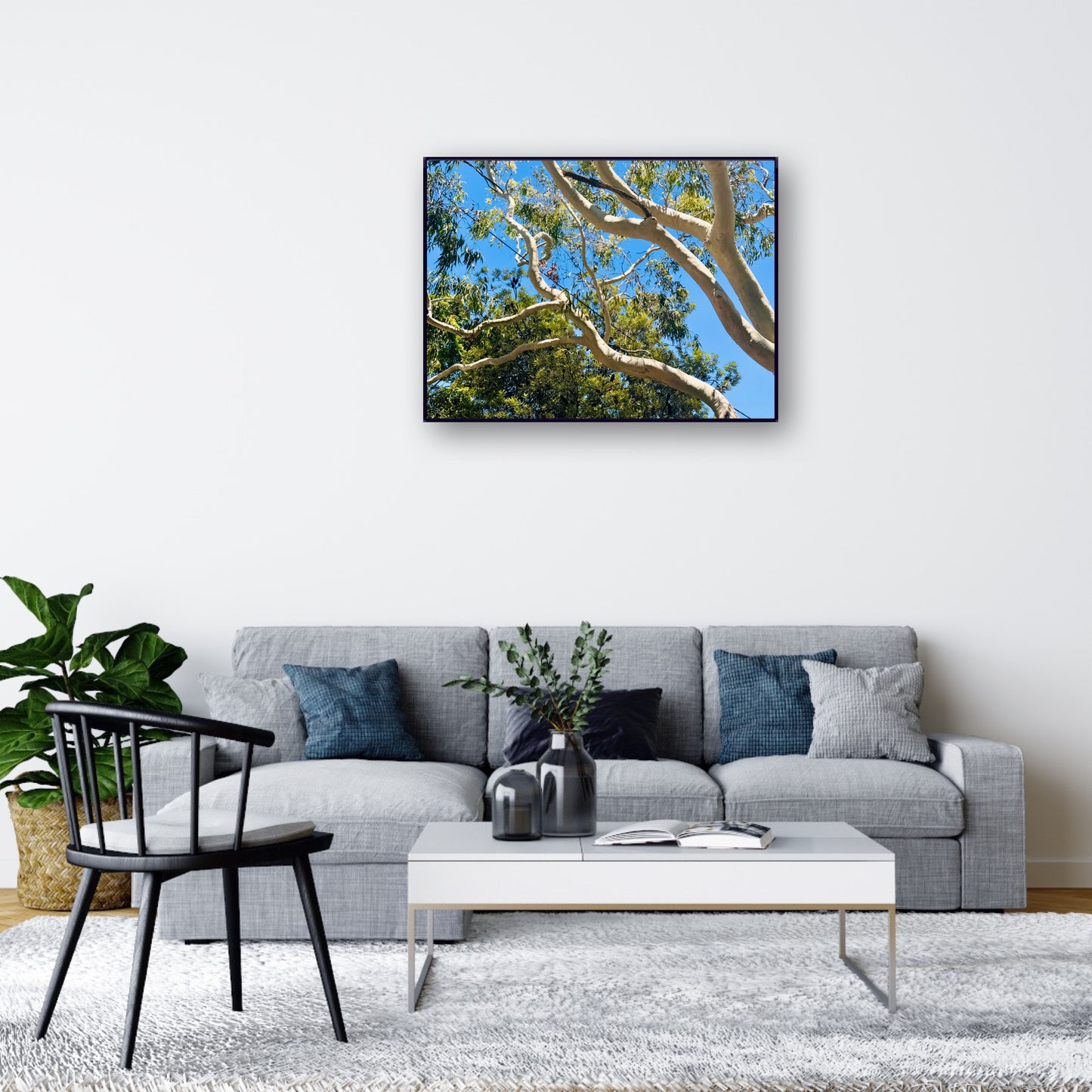 "The Dance of the Branches" - Fine Art Photography