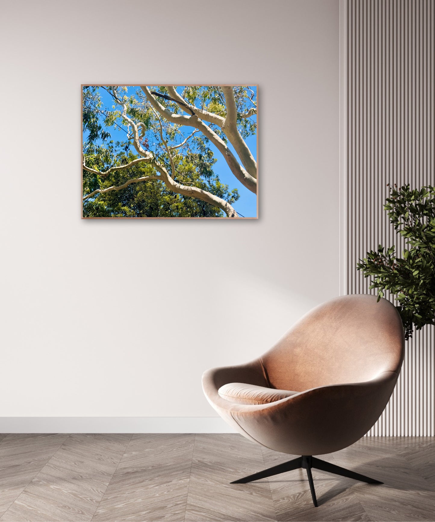 "The Dance of the Branches" - Fine Art Photography