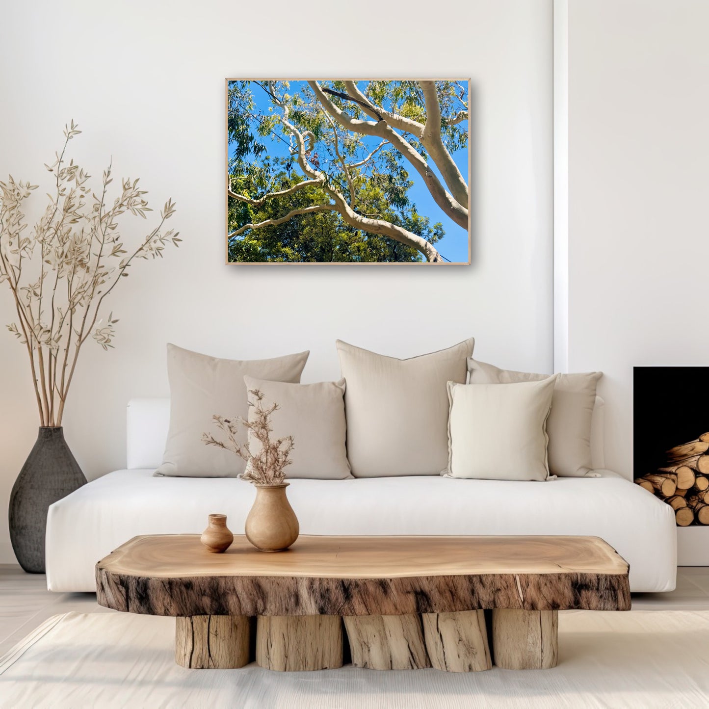 "The Dance of the Branches" - Fine Art Photography