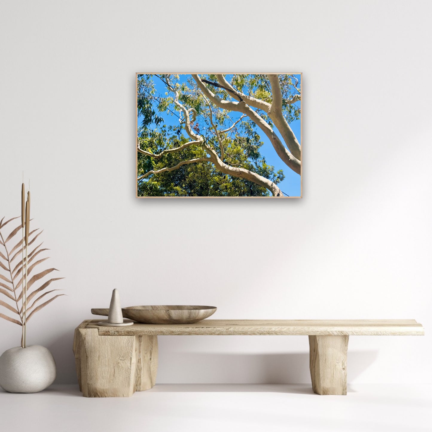 "The Dance of the Branches" - Fine Art Photography