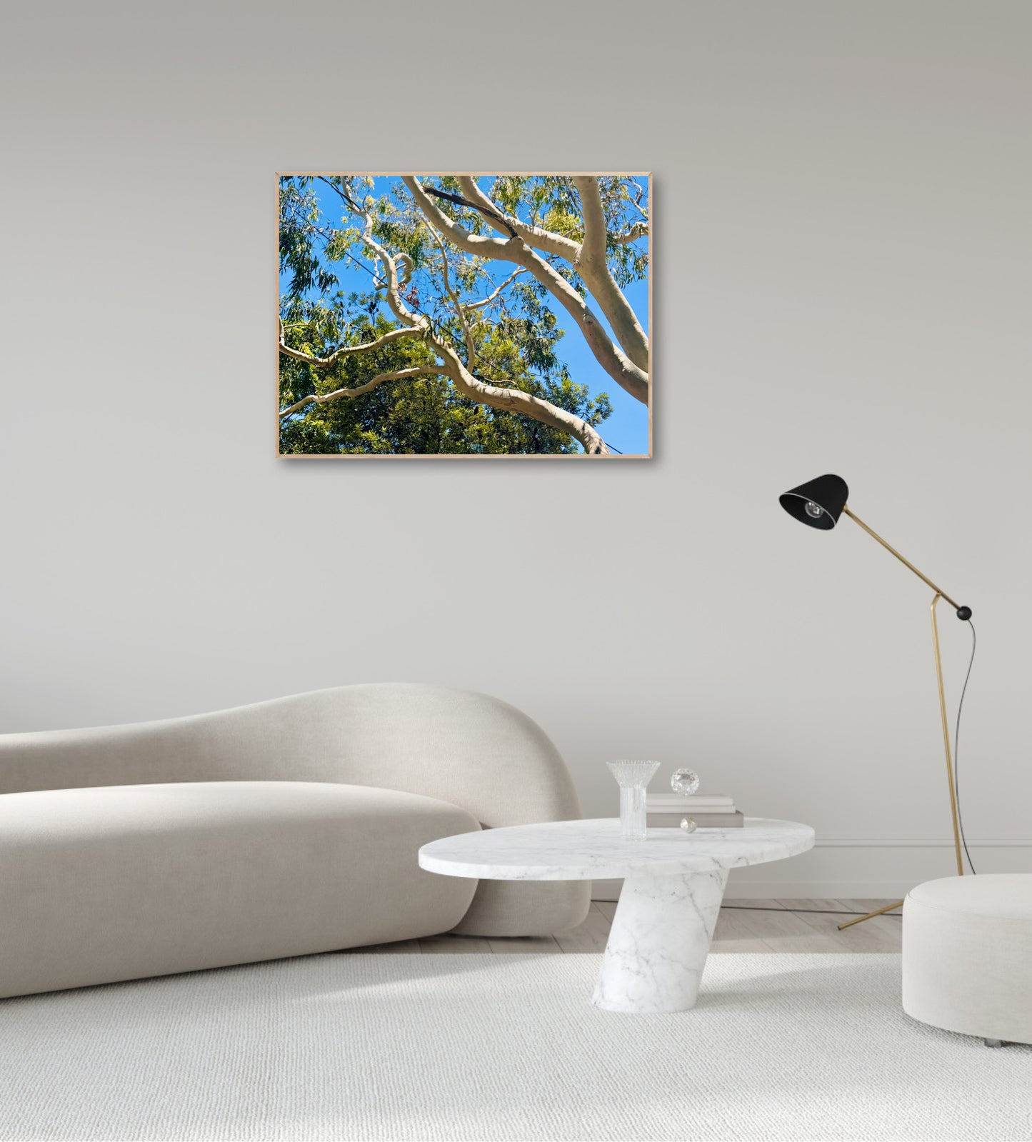 "The Dance of the Branches" - Fine Art Photography