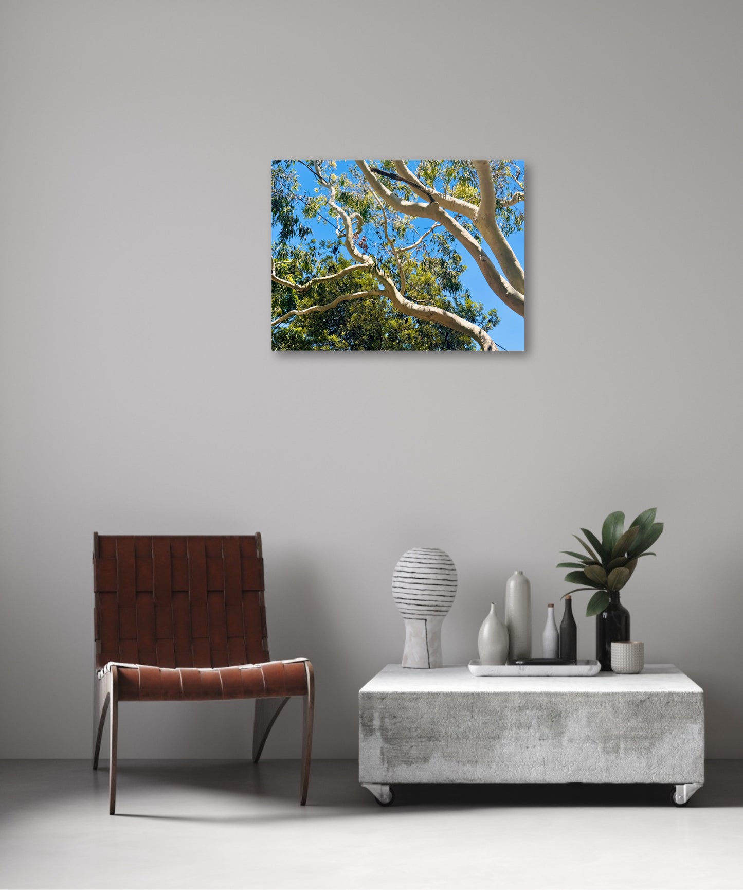 "The Dance of the Branches" - Fine Art Photography