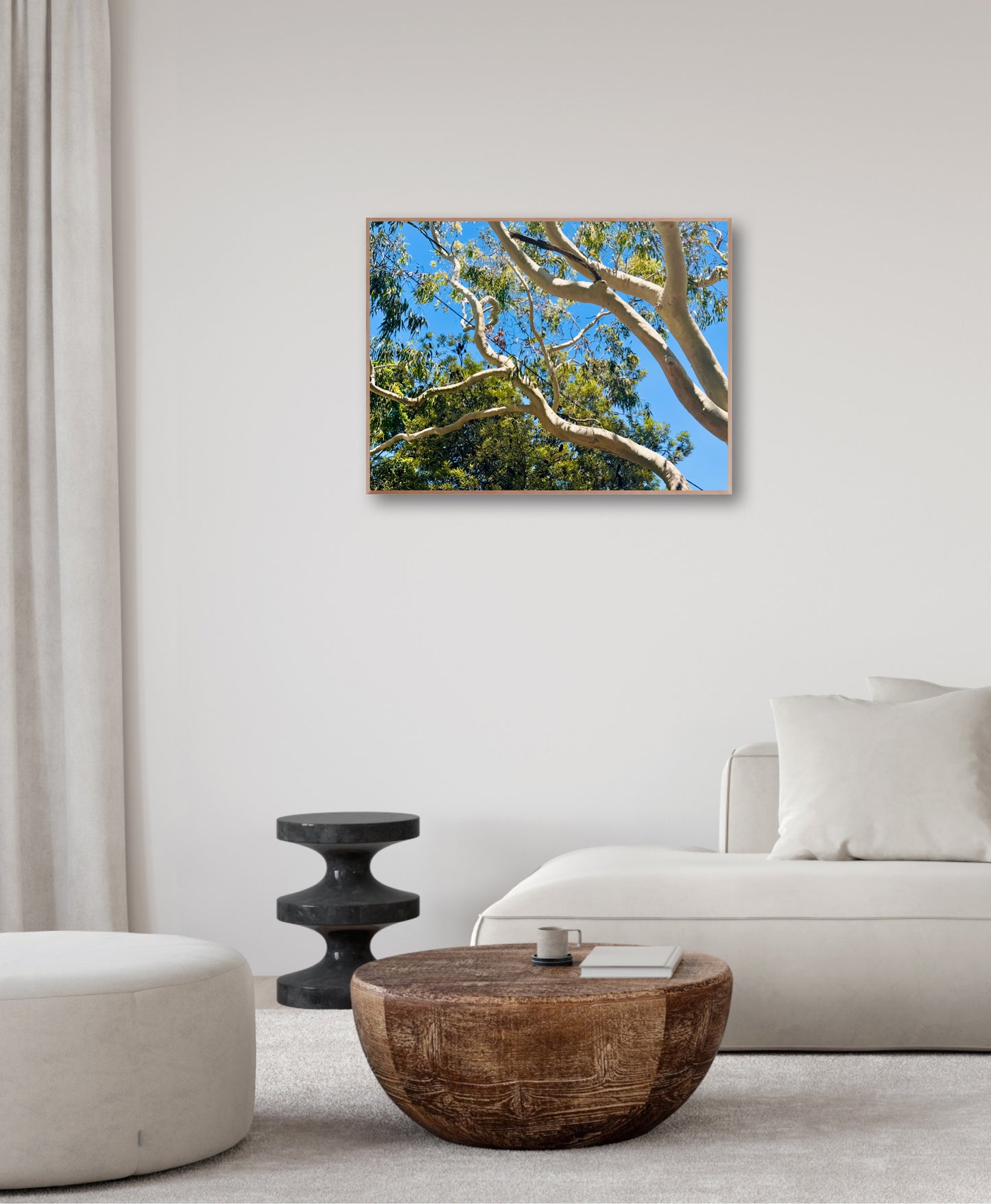 "The Dance of the Branches" - Fine Art Photography