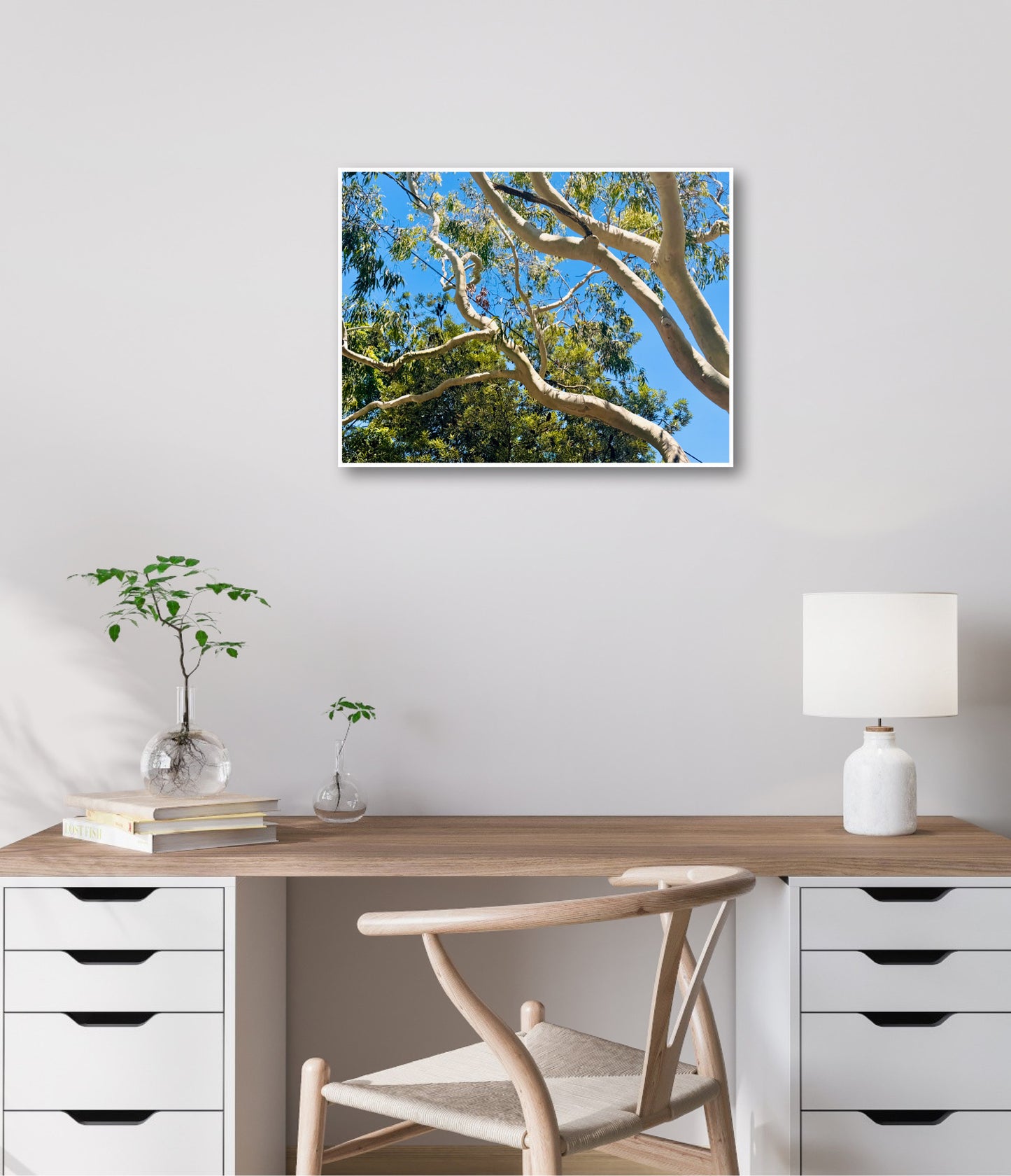 "The Dance of the Branches" - Fine Art Photography