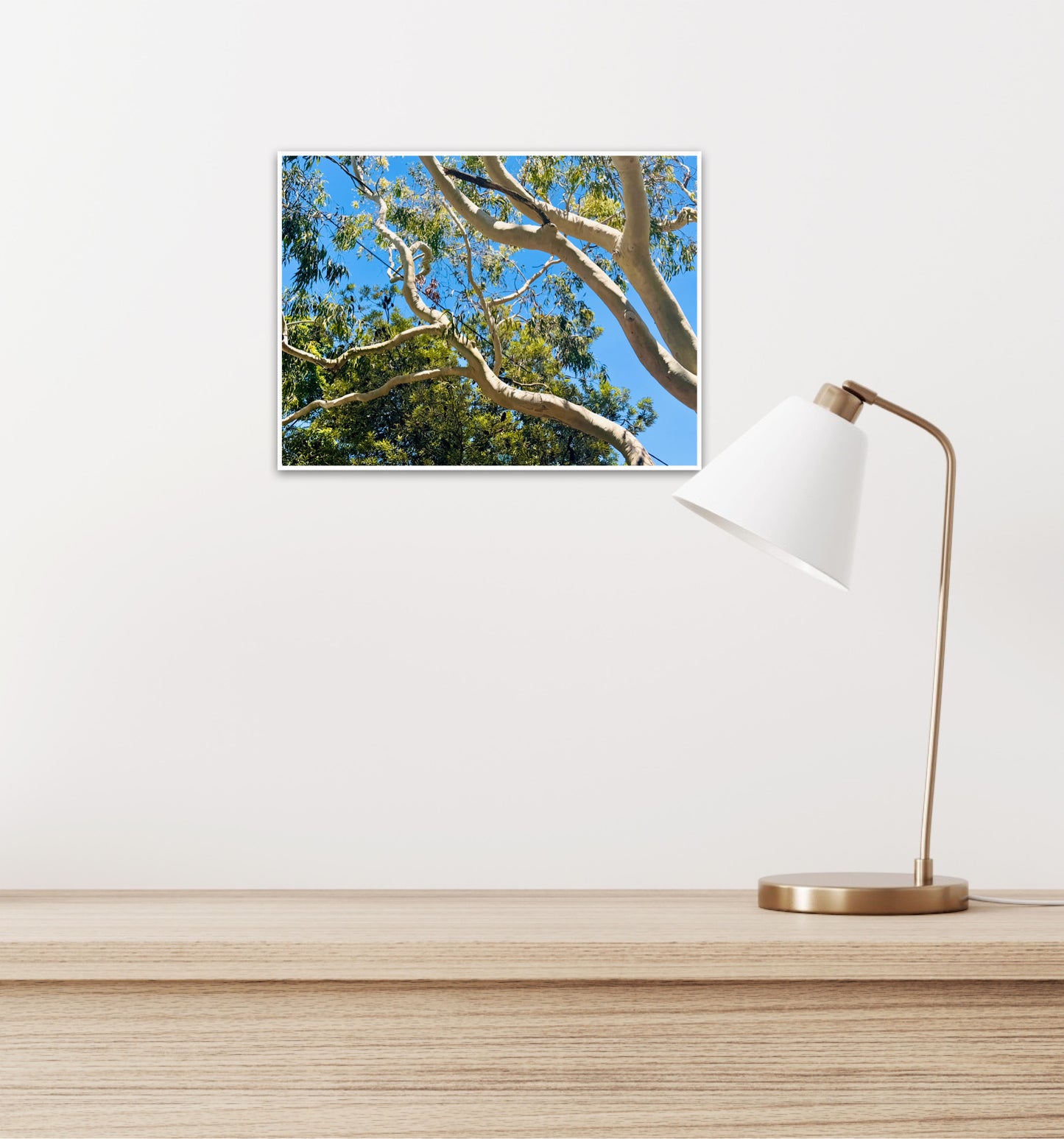 "The Dance of the Branches" - Fine Art Photography