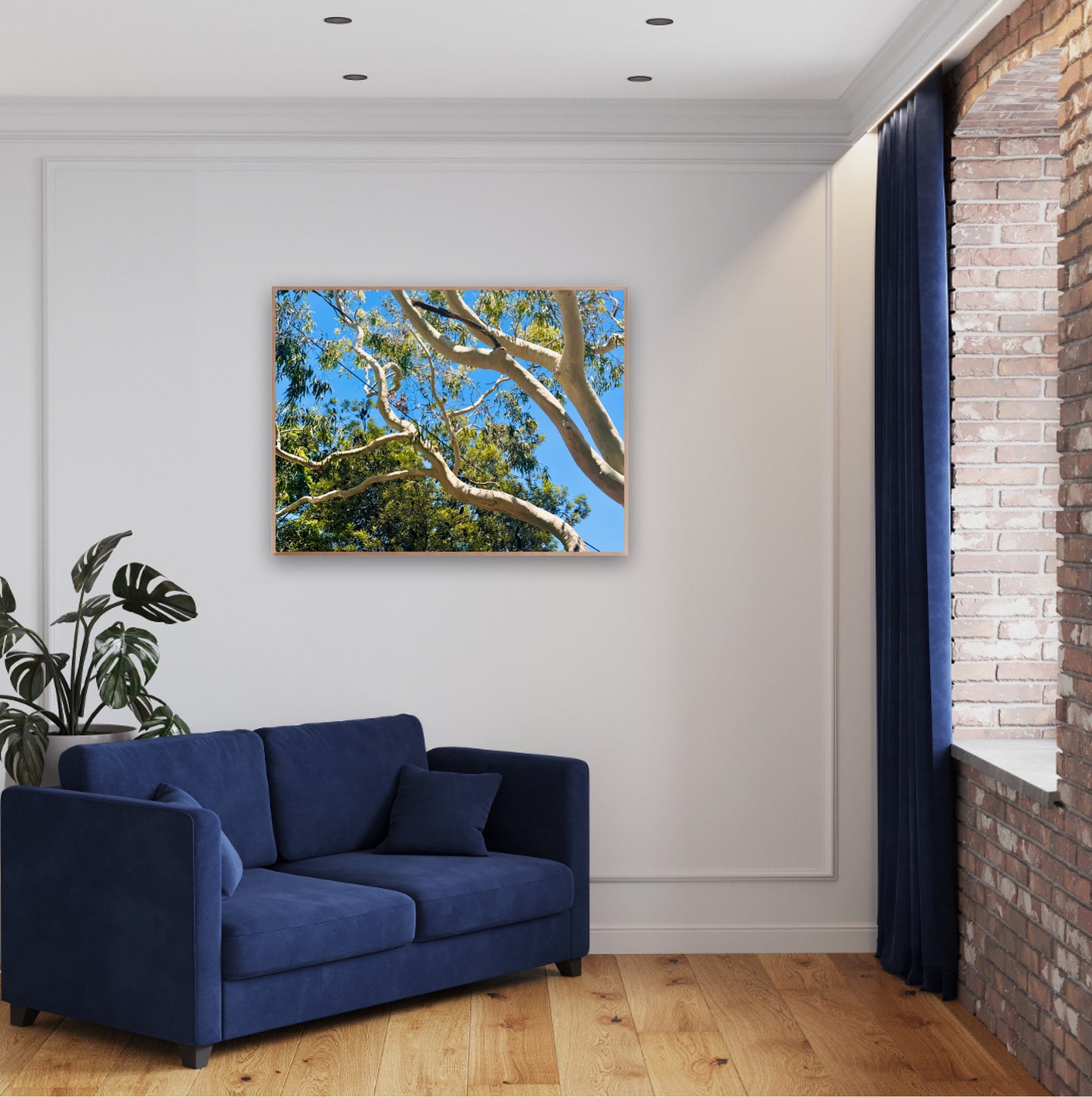 "The Dance of the Branches" - Fine Art Photography